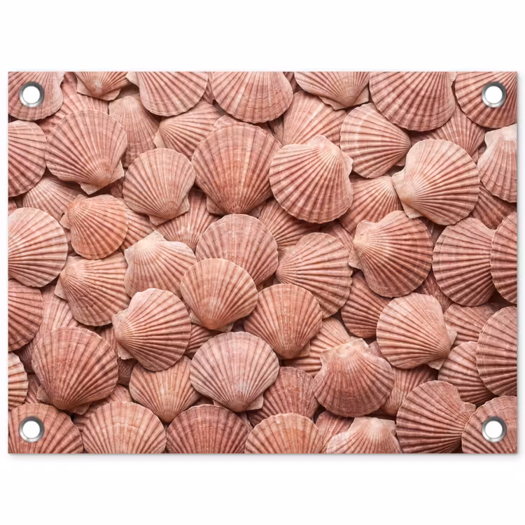 Schelpen - Patroon - Roze tuinposter los doek klein -3d
