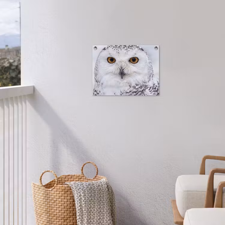 Sneeuwuil - Oog - Wildlife - Wit tuinposter los doek klein -sfeer8