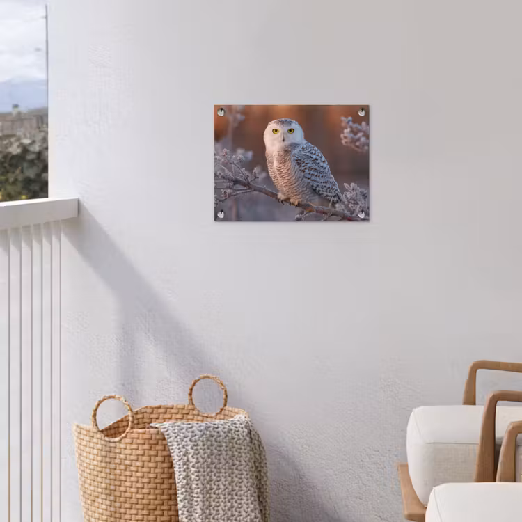 Sneeuwuil - Wit - Tak - Sneeuw tuinposter los doek klein -sfeer8