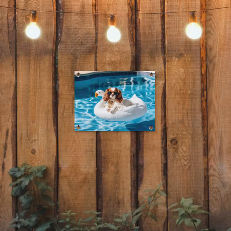 Spaniel - Zonnebril - Zwemband - Zwemband tuinposter los doek klein -sfeer1