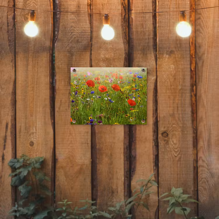 Lente - Bloemen - Rood - Klaproos - Gras - Groen tuinposter los doek klein -sfeer1