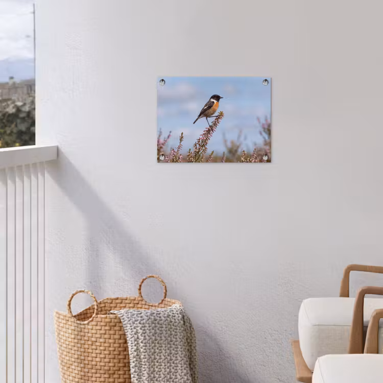 Roodborsttapuit - Heide - Paars - Natuur - Sfeervol tuinposter los doek klein -sfeer8