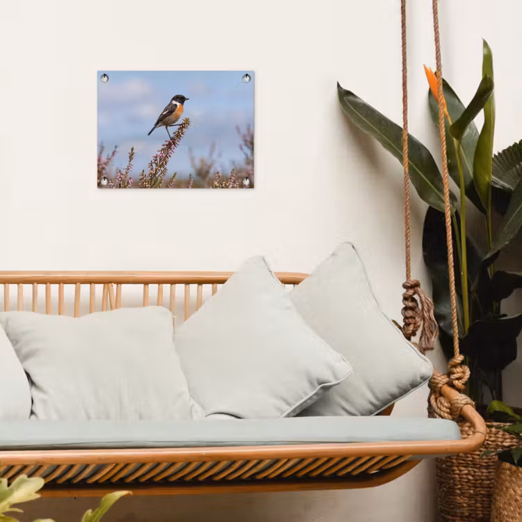 Roodborsttapuit - Heide - Paars - Natuur - Sfeervol tuinposter los doek klein -sfeer7