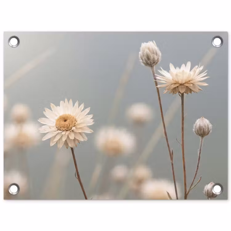 Strobloemen - Wit - Daglicht tuinposter los doek klein -3d