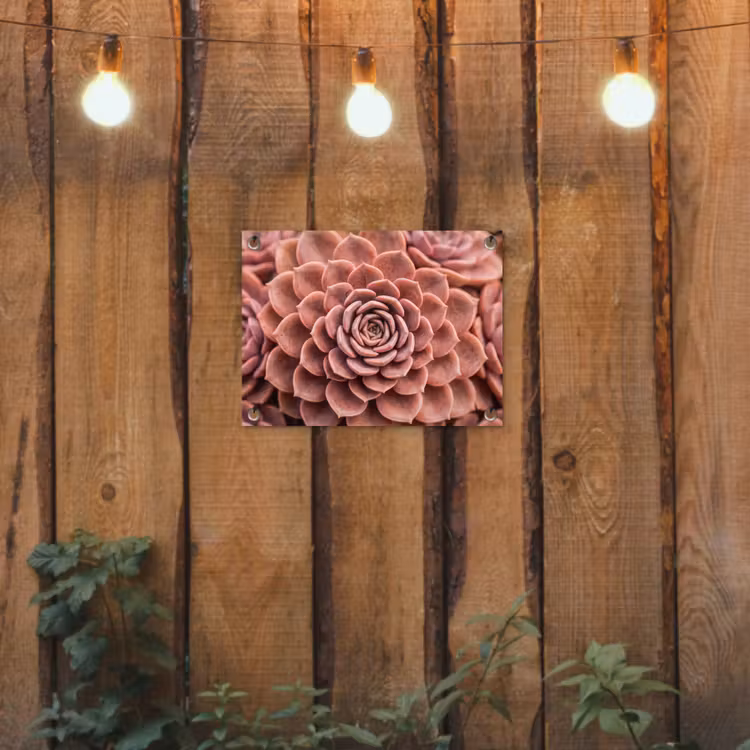 Vetplant - Organisch - Roze tuinposter los doek klein -sfeer1