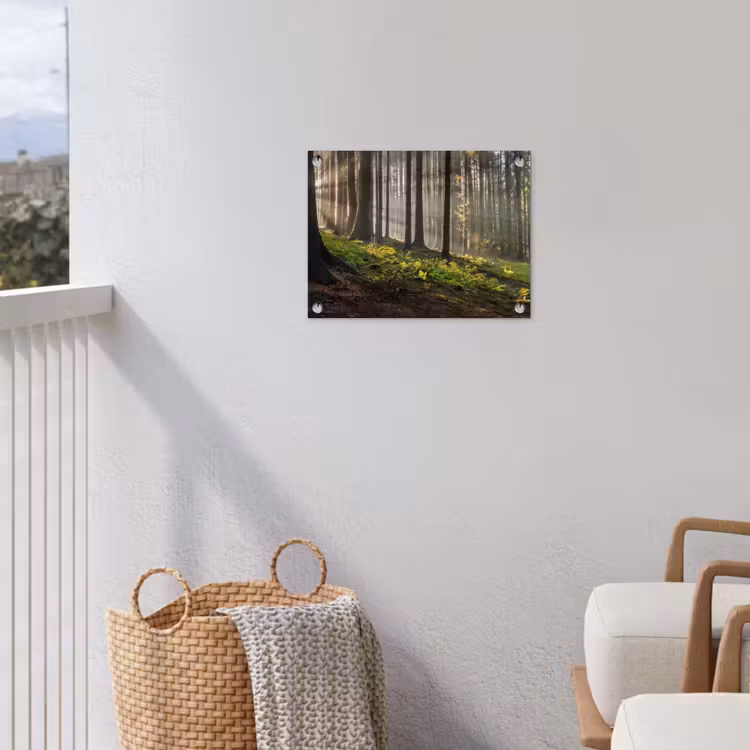 Zon - Takken - Bomen - Bos - Natuur tuinposter los doek klein -sfeer8