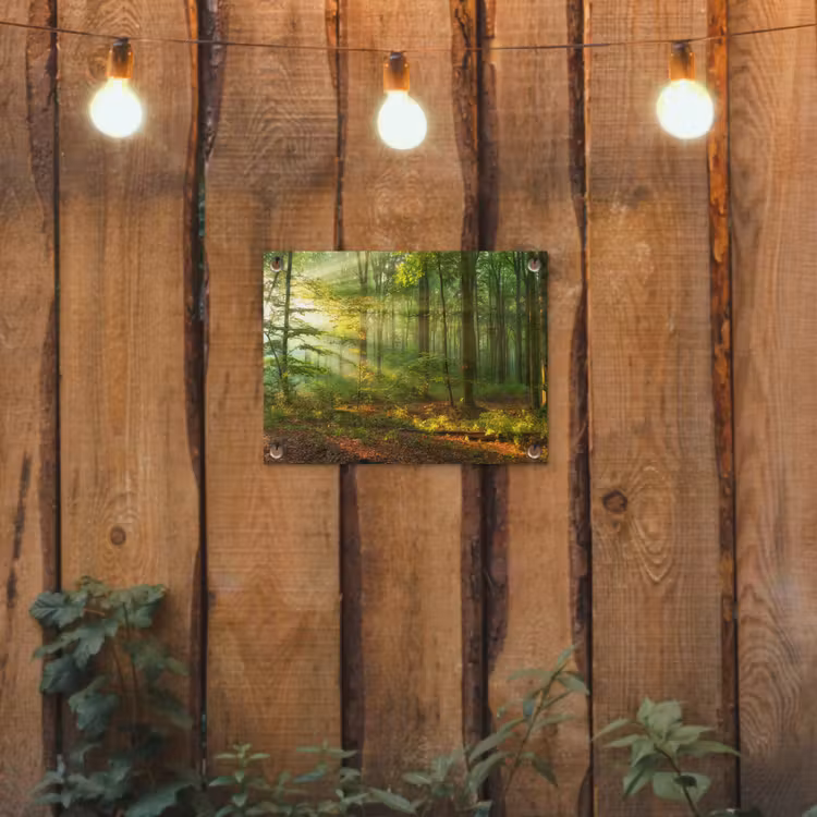 Zon - Bos - Bomen - Natuur - Herfst tuinposter los doek klein -sfeer1
