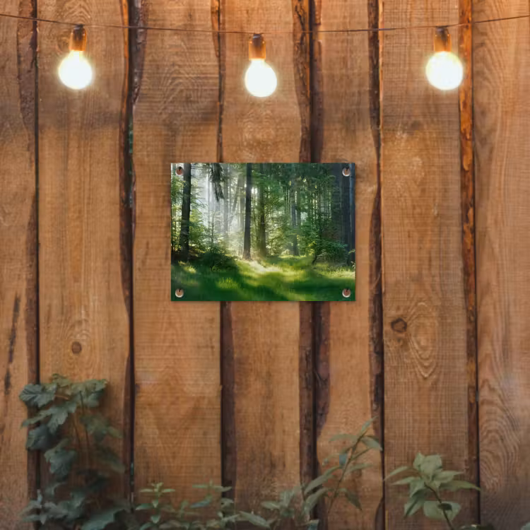 Zonnestralen in een groen bos tuinposter los doek klein -sfeer1