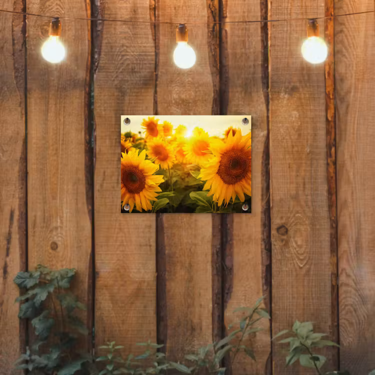 Zonnebloemen in het zonlicht tuinposter los doek klein -sfeer1