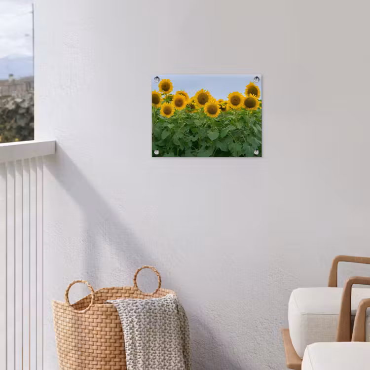 Zonnebloemen - Geel - Natuur tuinposter los doek klein -sfeer8