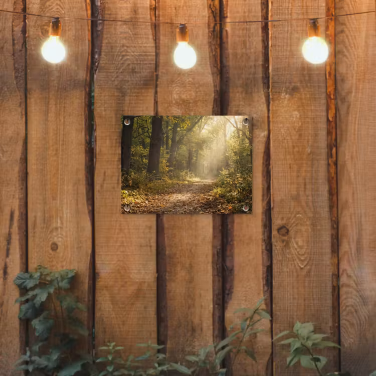 Zonlicht - Bospad - Bomen tuinposter los doek klein -sfeer1