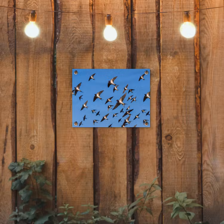 Zwaluwen - Vliegen - Blauw tuinposter los doek klein -sfeer1