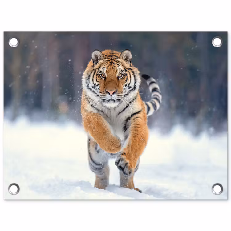 Tijger - Landschap - Sneeuw - Winter - Dieren tuinposter los doek klein -3d