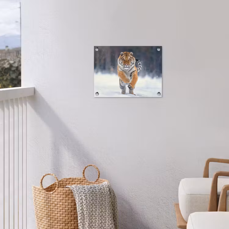 Tijger - Landschap - Sneeuw - Winter - Dieren tuinposter los doek klein -sfeer8
