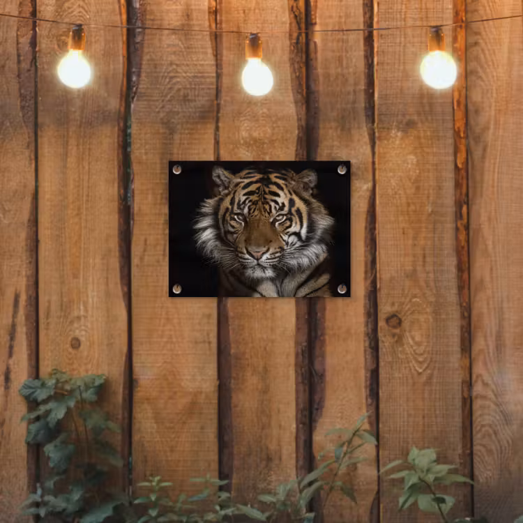 Tijger - Wilde dieren - Portret tuinposter los doek klein -sfeer1