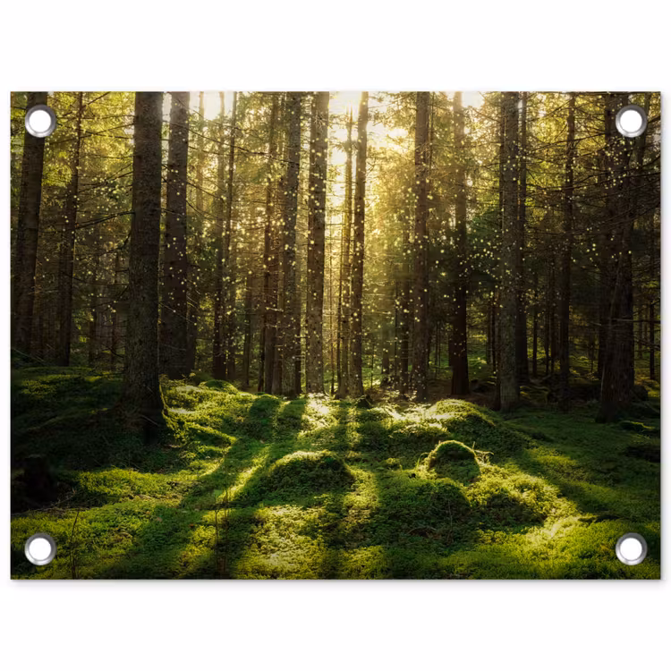 Bomen - Bos - Mos - Planten - Zon - Natuur tuinposter los doek klein -3d