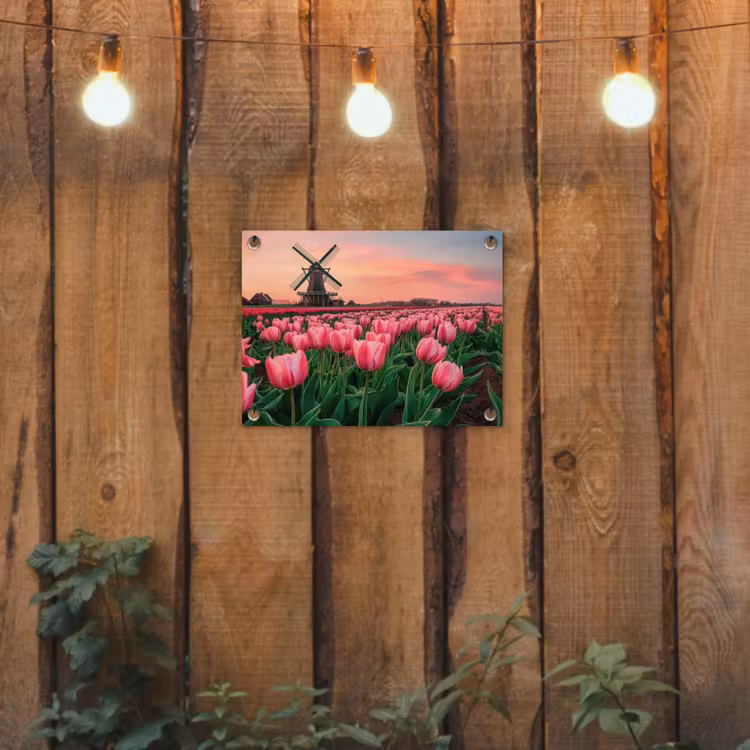 Tulpen - Molen - Nederland tuinposter los doek klein -sfeer1