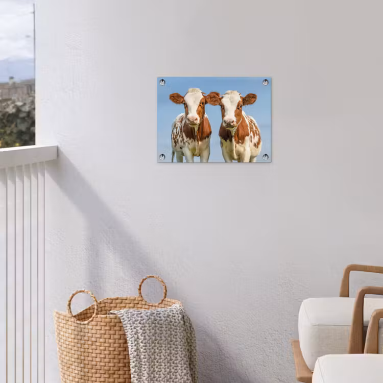 Twee kalveren in de weide tuinposter los doek klein -sfeer8