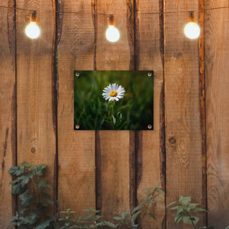 Wit - Madeliefje - Bloem - Gras tuinposter los doek klein -sfeer1