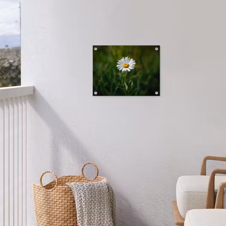 Wit - Madeliefje - Bloem - Gras tuinposter los doek klein -sfeer8