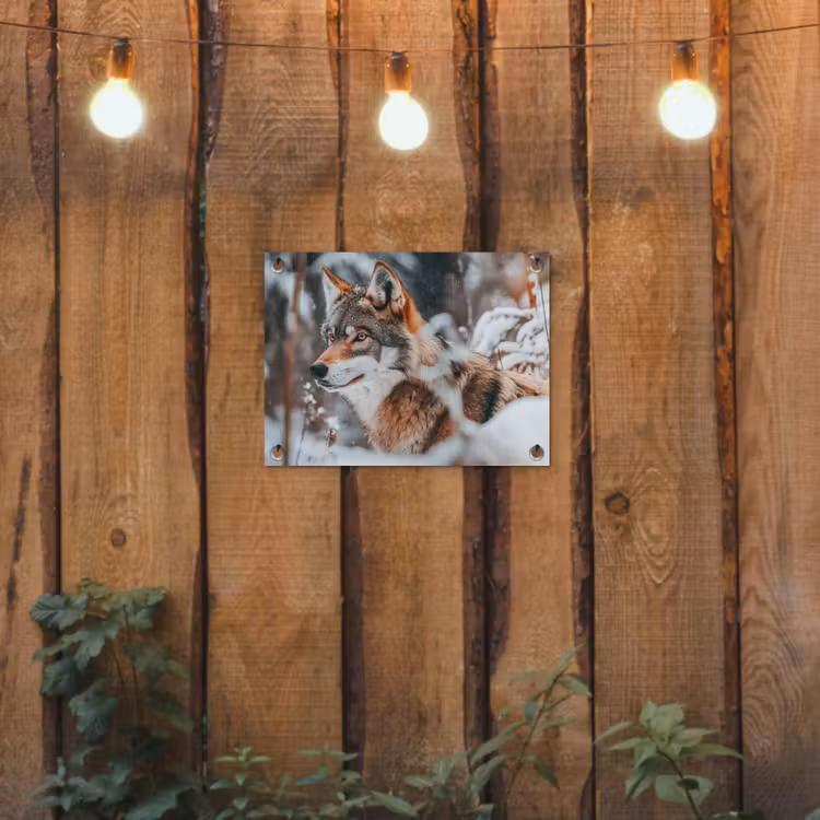 Wolf - Sneeuw - Winter - Dieren - Natuur - Sneeuw tuinposter los doek klein -sfeer1