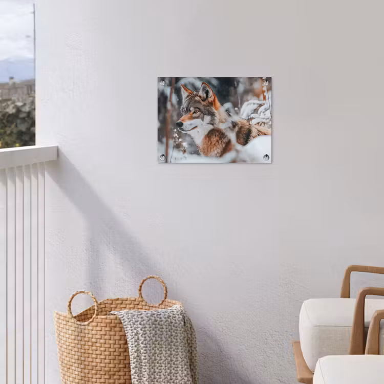 Wolf - Sneeuw - Winter - Dieren - Natuur - Sneeuw tuinposter los doek klein -sfeer8