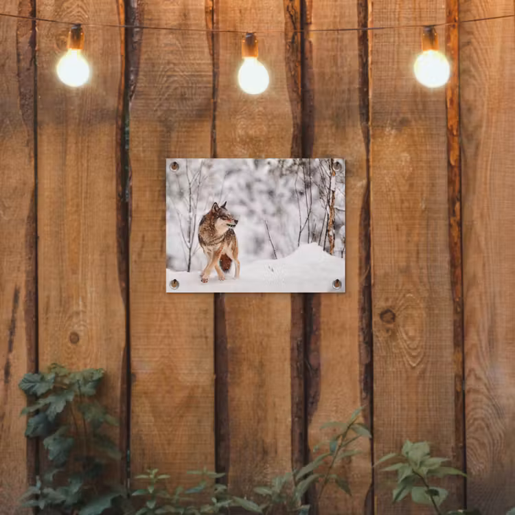 Wolf - Winter - Sneeuw - Natuur - Dieren tuinposter los doek klein -sfeer1