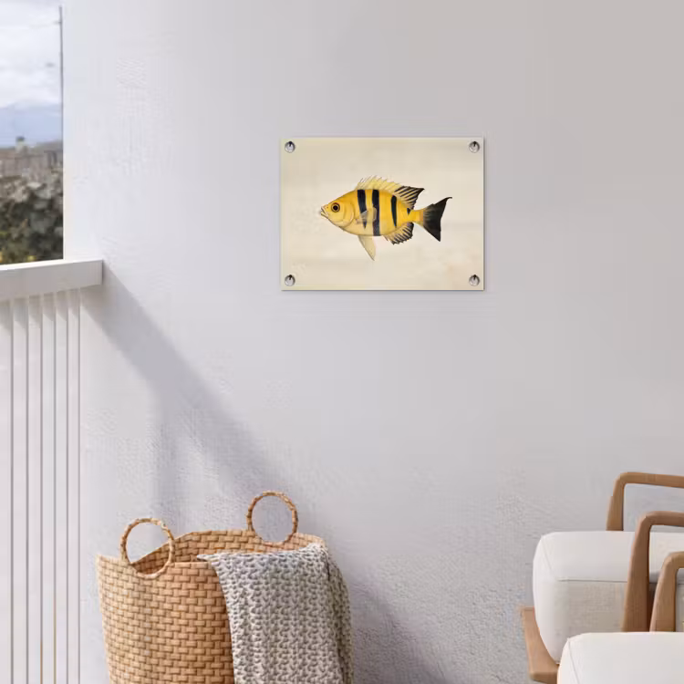 Geel - Vis - Strepen - Tropisch tuinposter los doek klein -sfeer8