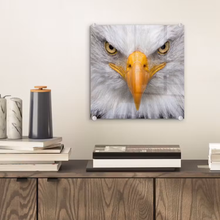 Amerikaans - Zeearend - Portret - Geel plexiglas 5mm klein -sfeer1