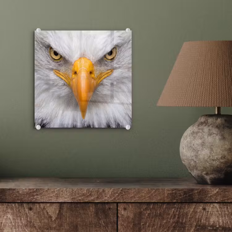 Amerikaans - Zeearend - Portret - Geel plexiglas 5mm klein -sfeer3
