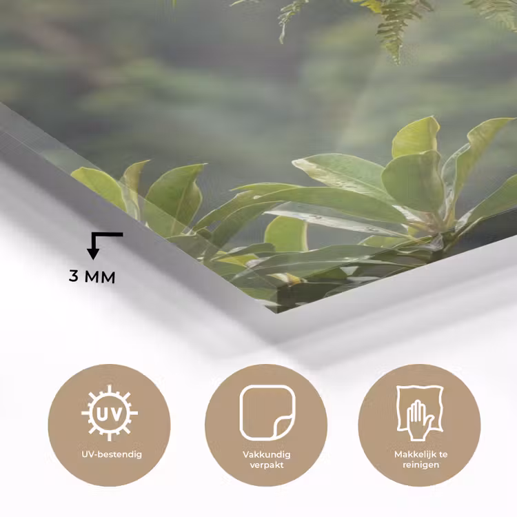 Ara - Jungle - Rood plexiglas 5mm klein -sfeer2
