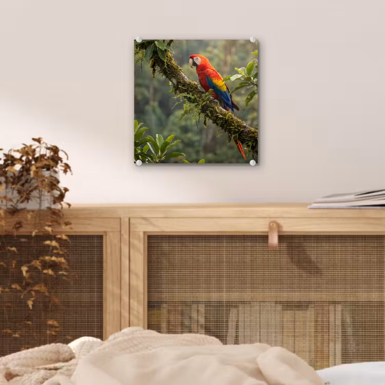 Ara - Jungle - Rood plexiglas 5mm klein -sfeer4