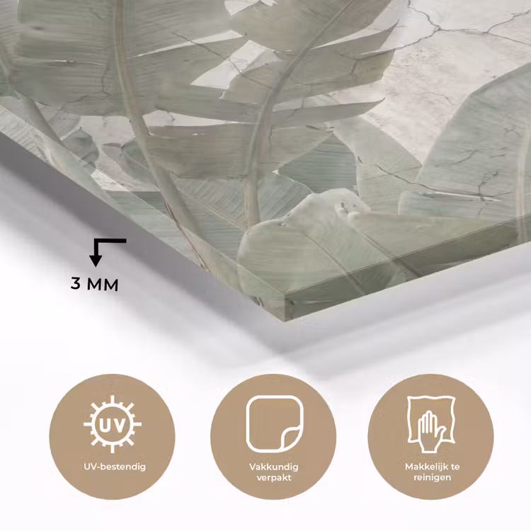 Bananenbladeren - Beton - Groen plexiglas 5mm klein -sfeer2