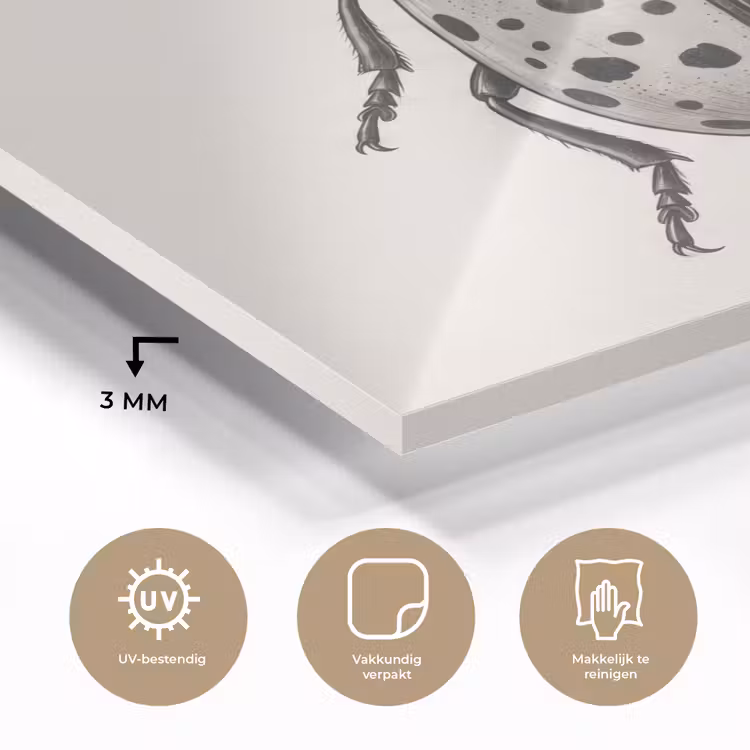 Kever - Insect - Vintage plexiglas 5mm klein -sfeer2