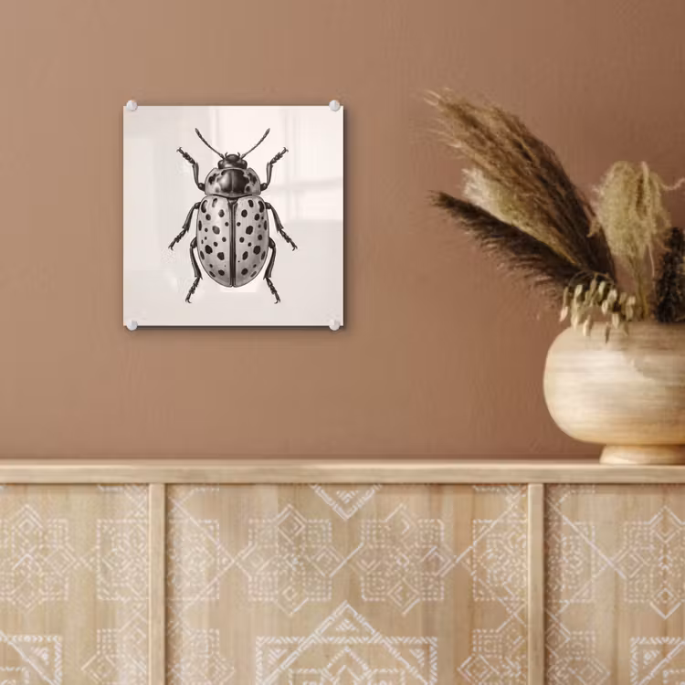 Kever - Insect - Vintage plexiglas 5mm klein -sfeer5