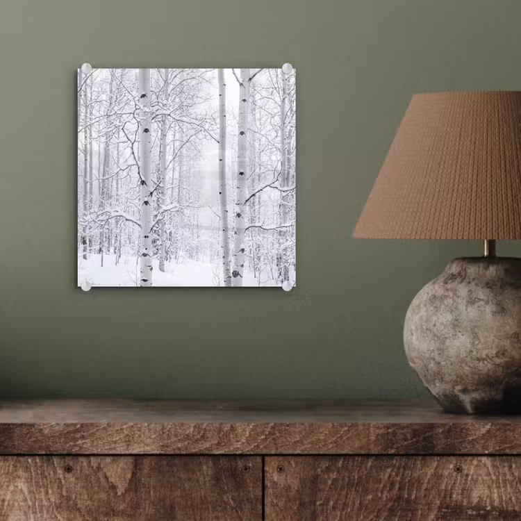 Berkenbomen - Sneeuw - Winter - Bos - Wit plexiglas 5mm klein -sfeer3