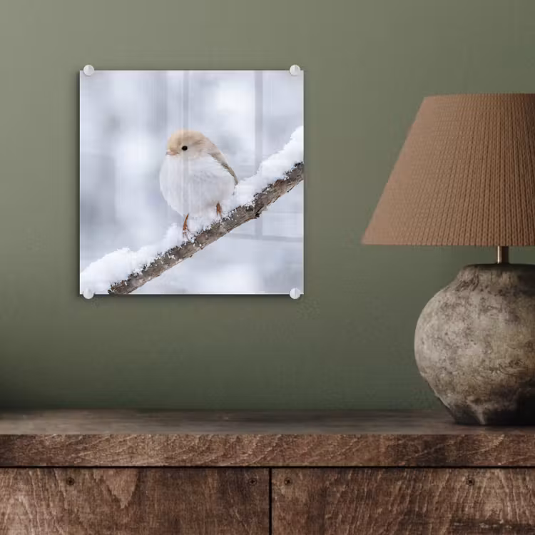 Vogeltje - Sneeuw - Tak - Winter - Zacht plexiglas 5mm klein -sfeer3