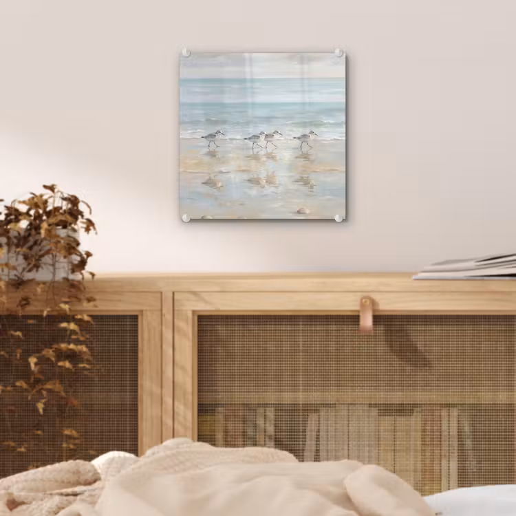 Vogels - Strand - Zee plexiglas 5mm klein -sfeer4