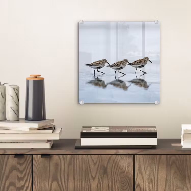 Vogels - Water - Grijs plexiglas 5mm klein -sfeer1