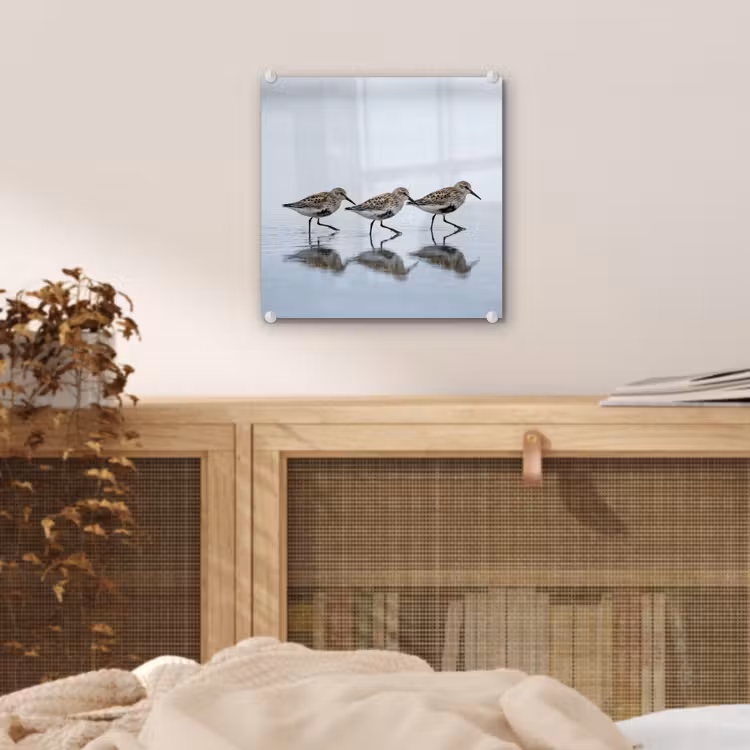 Vogels - Water - Grijs plexiglas 5mm klein -sfeer4