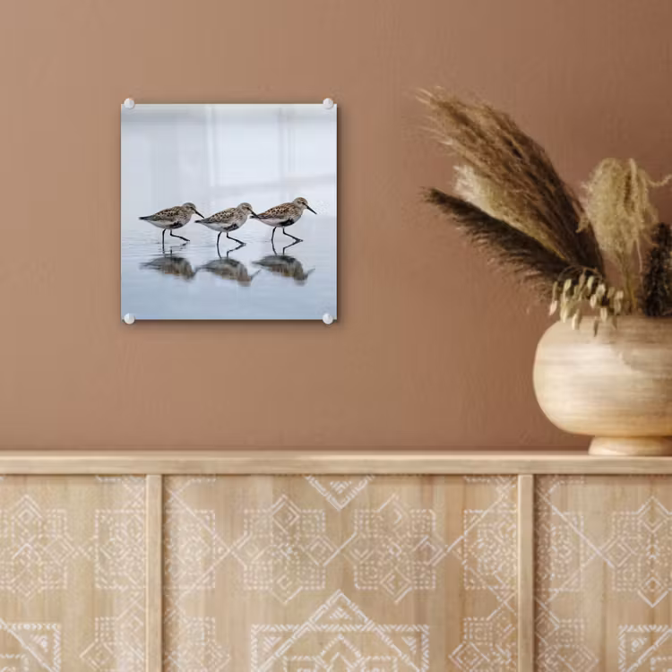 Vogels - Water - Grijs plexiglas 5mm klein -sfeer5