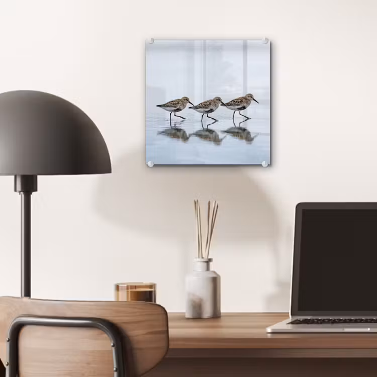 Vogels - Water - Grijs plexiglas 5mm klein -sfeer6