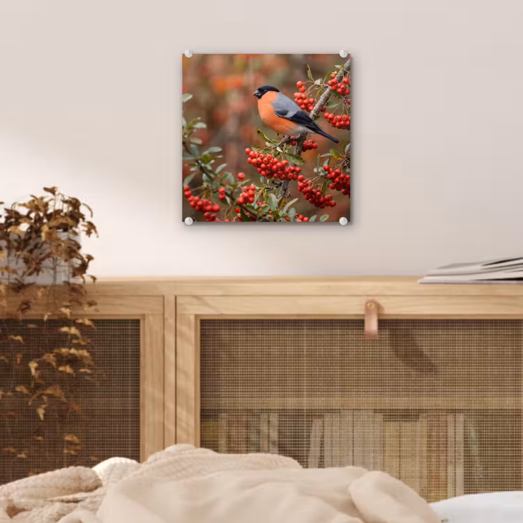 Goudvink - Bessen - Herfst - Natuur - Kleurrijk plexiglas 5mm klein -sfeer4