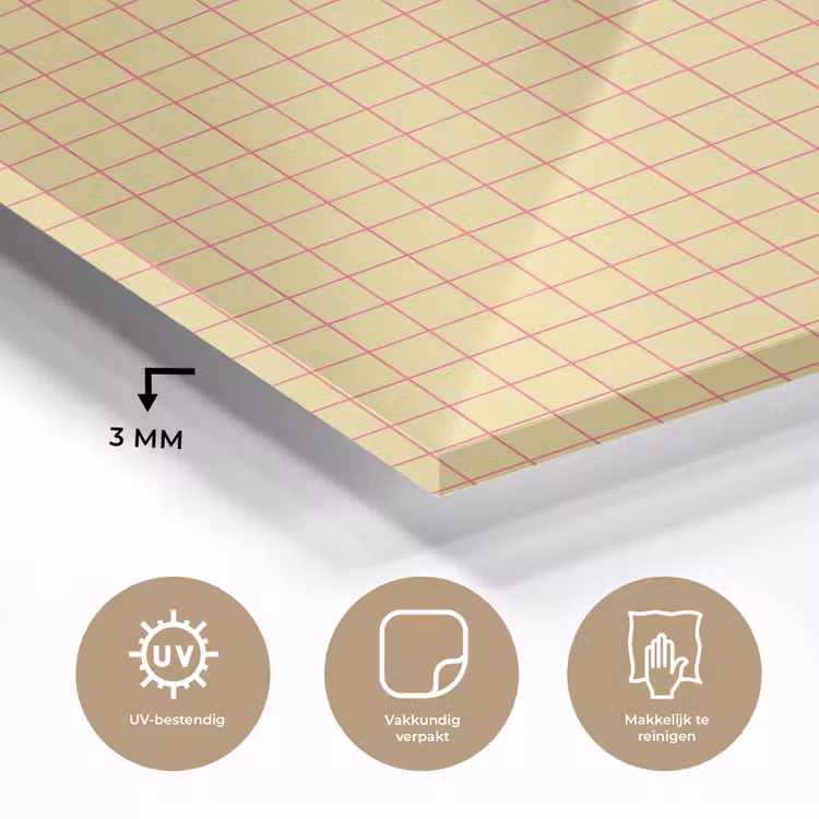 Ruitjes - Grid - Minimalistisch - Geel - Roze plexiglas 5mm klein 11 -sfeer2