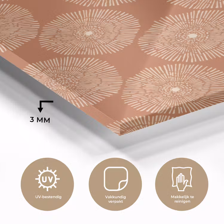 Cirkels - Grafisch - Patroon - Terracotta plexiglas 5mm klein 11 -sfeer2
