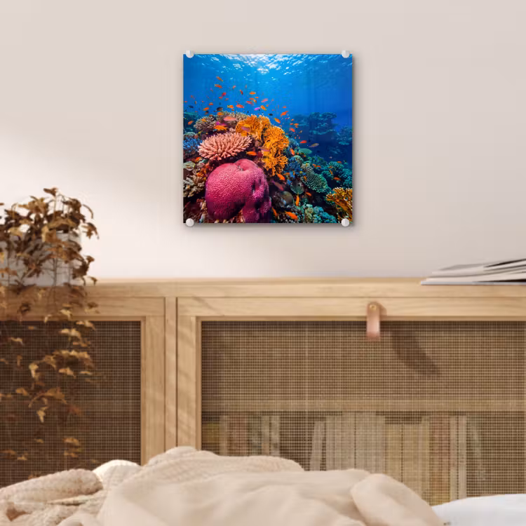 Koraal - Vissen - Oceaan - Natuur - Kleurrijk plexiglas 5mm klein -sfeer4