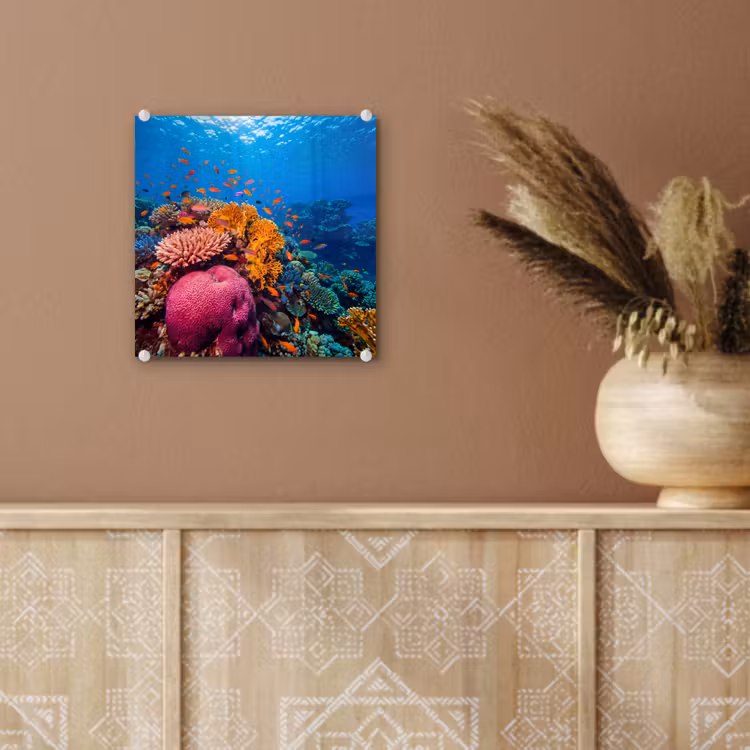 Koraal - Vissen - Oceaan - Natuur - Kleurrijk plexiglas 5mm klein -sfeer5