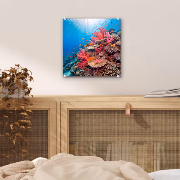 Koraalrif - Vissen - Onderwater - Tropisch - Rood plexiglas 5mm klein -sfeer4
