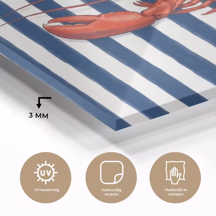 Schaaldier - Kreeft - Marine - Illustratie - Rood plexiglas 5mm klein -sfeer2