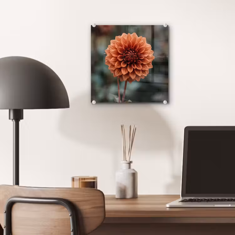 Dahlia - Bloem - Natuur - Sfeervol plexiglas 5mm klein -sfeer6